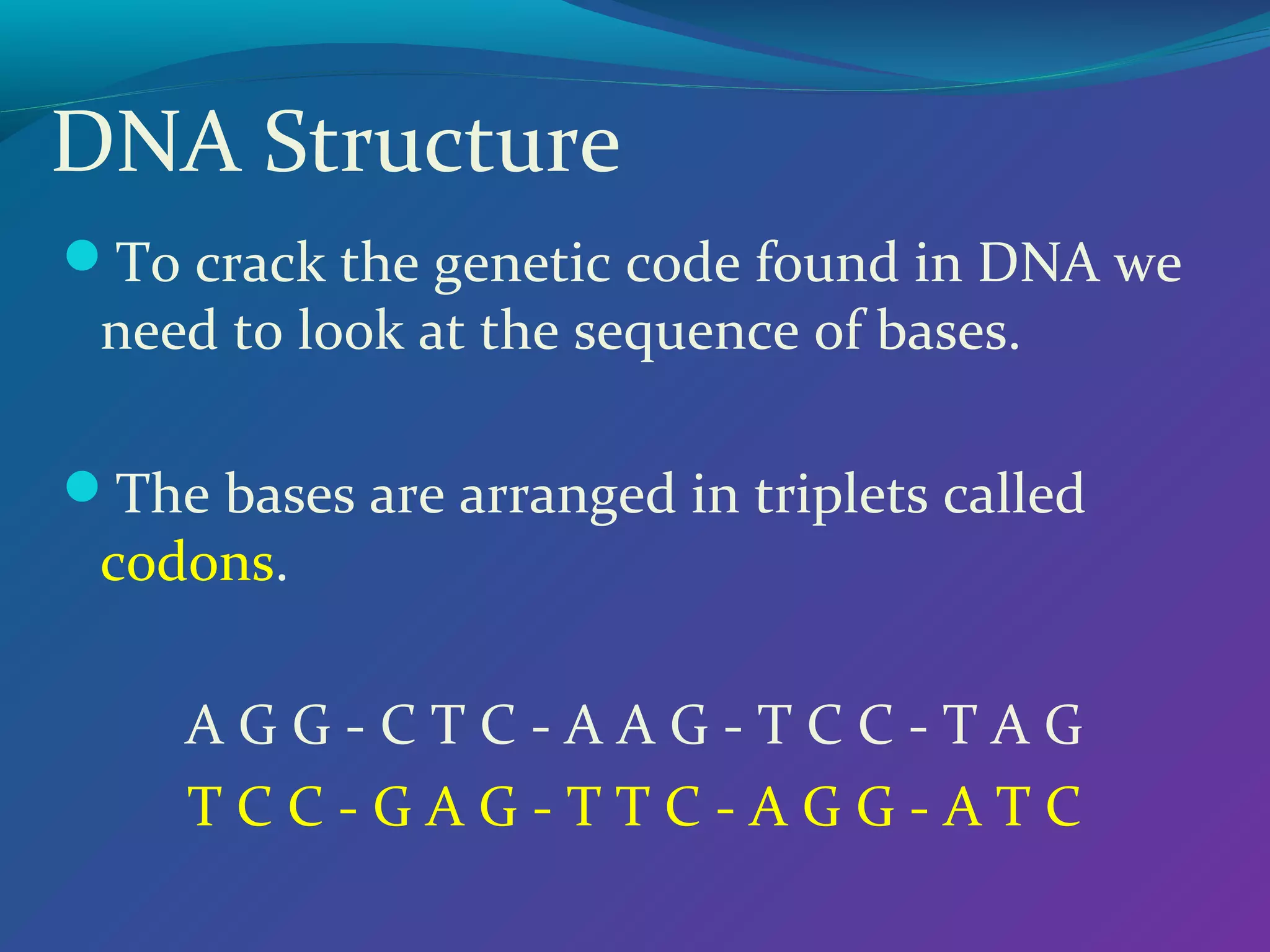DNA Structure
To crack the genetic code found in DNA we
 need to look at the sequence of bases.

The bases are arranged in triplets called
 codons.

     AGG-CTC-AAG-TCC-TAG
     TCC-GAG-TTC-AGG-ATC
 
