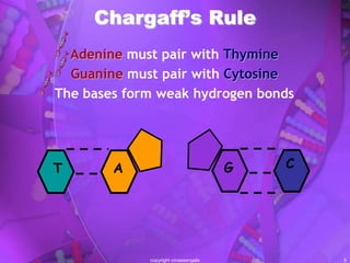 Dna structure | PPTX