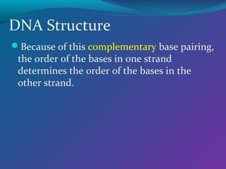 DNA Structure
Because of this complementary base pairing,
the order of the bases in one strand
determines the order of the bases in the
other strand.
 