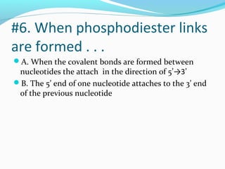 #6. When phosphodiester links
are formed . . .
A. When the covalent bonds are formed between
nucleotides the attach in the direction of 5’→3’
B. The 5’ end of one nucleotide attaches to the 3’ end
of the previous nucleotide
 