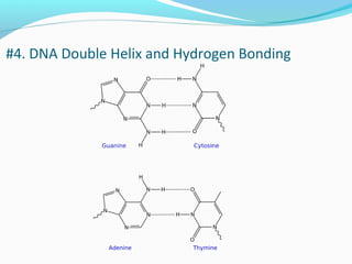 #4. DNA Double Helix and Hydrogen Bonding
 