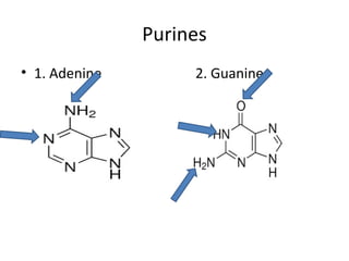 Dna structure | PPT