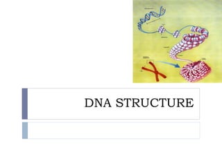 DNA STRUCTURE
 