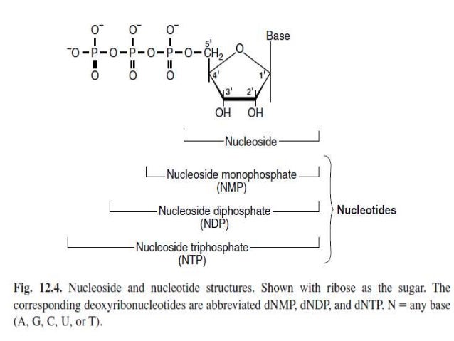 dna structure the bonds involved and it seperation dna bonds