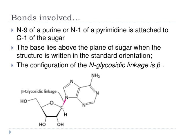 dna structure the bonds involved and it seperation dna bonds