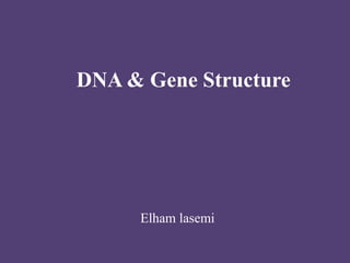 DNA & Gene Structure
Elham lasemi
 