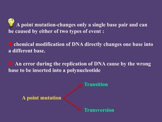 Dna structure | PPTX