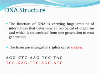 DNA structure | PPT