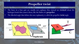Basics of DNA Structure | PDF