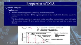 Basics of DNA Structure | PPT
