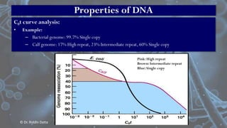 Basics of DNA Structure | PPT