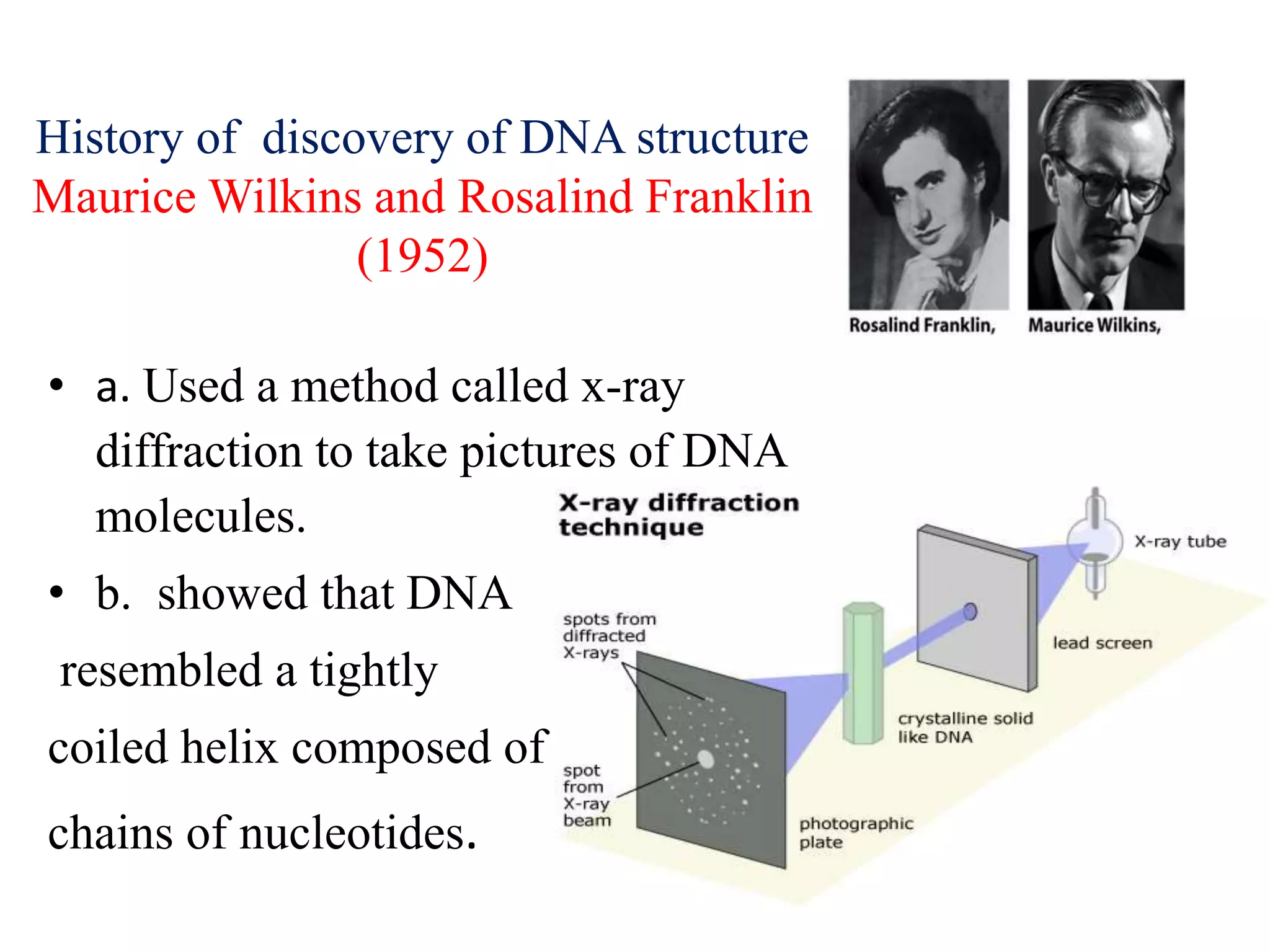 History of discovery of DNA structure
Maurice Wilkins and Rosalind Franklin
(1952)
• a. Used a method called x-ray
diffraction to take pictures of DNA
molecules.
• b. showed that DNA
resembled a tightly
coiled helix composed of
chains of nucleotides.
 