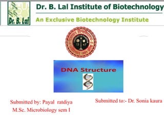Dna Structure Ppt Dna Structure Ppt