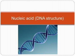 Nucleic acid (DNA structure)
 