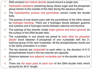1. DNA contains two helical strands wound around a single axis.
2. Hydrophilic backbone containing deoxy ribose sugar and ...
