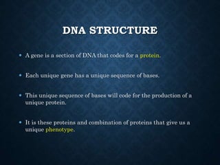 DNA Structure.ppt