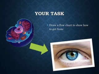 YOUR TASK
 Draw a flow chart to show how
to get from:
 