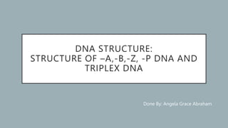 DNA STRUCTURE:
STRUCTURE OF –A,-B,-Z, -P DNA AND
TRIPLEX DNA
Done By: Angela Grace Abraham
 