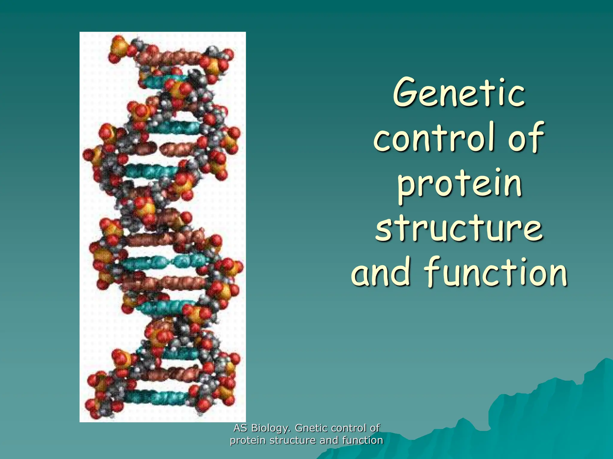 AS Biology. Gnetic control of
protein structure and function
Genetic
control of
protein
structure
and function
 
