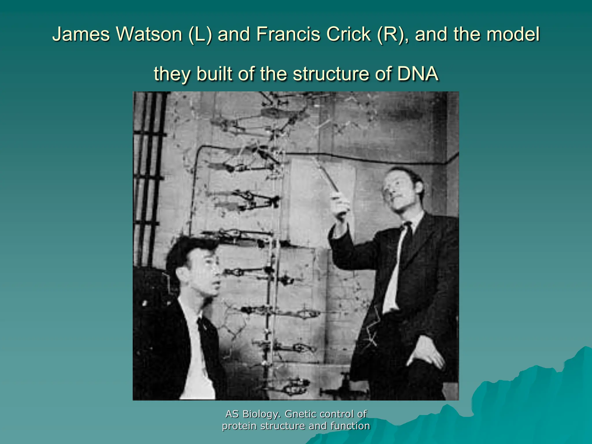 AS Biology. Gnetic control of
protein structure and function
James Watson (L) and Francis Crick (R), and the model
they built of the structure of DNA
 