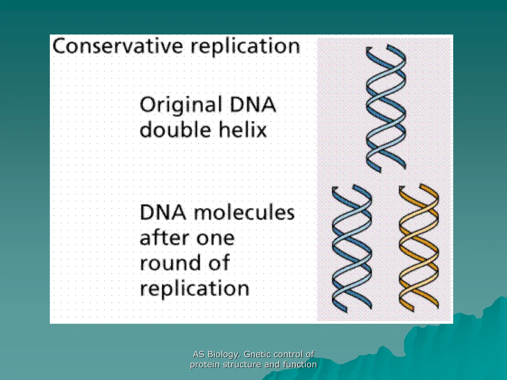 AS Biology. Gnetic control of
protein structure and function
 
