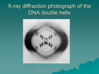 AS Biology. Gnetic control of
protein structure and function
X-ray diffraction photograph of the
DNA double helix
 