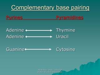 AS Biology. Gnetic control of
protein structure and function
Complementary base pairing
Purines Pyramidines
Adenine Thymine
Adenine Uracil
Guanine Cytosine
 