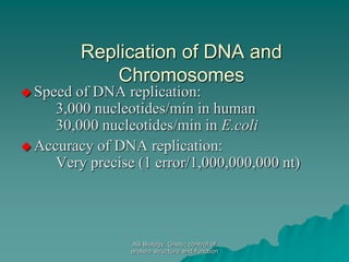 AS Biology. Gnetic control of
protein structure and function
Replication of DNA and
Chromosomes
 Speed of DNA replication:
3,000 nucleotides/min in human
30,000 nucleotides/min in E.coli
 Accuracy of DNA replication:
Very precise (1 error/1,000,000,000 nt)
 