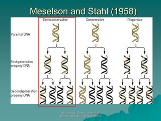 AS Biology. Gnetic control of
protein structure and function
Meselson and Stahl (1958)
 