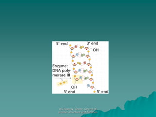 AS Biology. Gnetic control of
protein structure and function
 