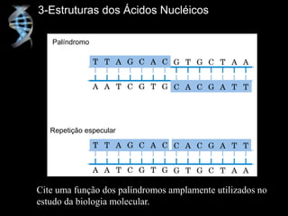 3-Estruturas dos Ácidos Nucléicos
Palíndromo
Repetição especular
Cite uma função dos palíndromos amplamente utilizados no
estudo da biologia molecular.
 