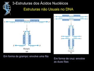 3-Estruturas dos Ácidos Nucléicos
Em forma de grampo: envolve uma fita
Em forma de cruz: envolve
as duas fitas
Estruturas não Usuais no DNA
 
