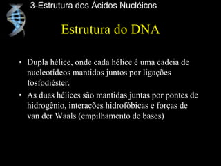 Estrutura do DNA
• Dupla hélice, onde cada hélice é uma cadeia de
nucleotídeos mantidos juntos por ligações
fosfodiéster.
• As duas hélices são mantidas juntas por pontes de
hidrogênio, interações hidrofóbicas e forças de
van der Waals (empilhamento de bases)
3-Estrutura dos Ácidos Nucléicos
 