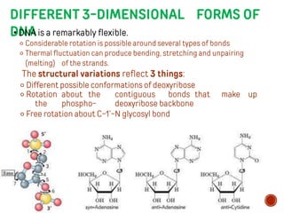DNA STRUCTURE AND INTRODUCTION TO THE REPLICATION.pptx