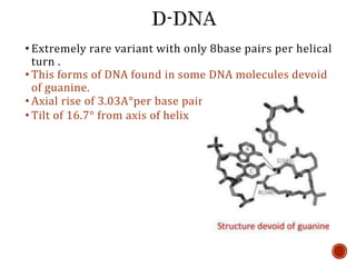 DNA STRUCTURE AND INTRODUCTION TO THE REPLICATION.pptx