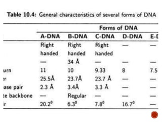 DNA STRUCTURE AND INTRODUCTION TO THE REPLICATION.pptx