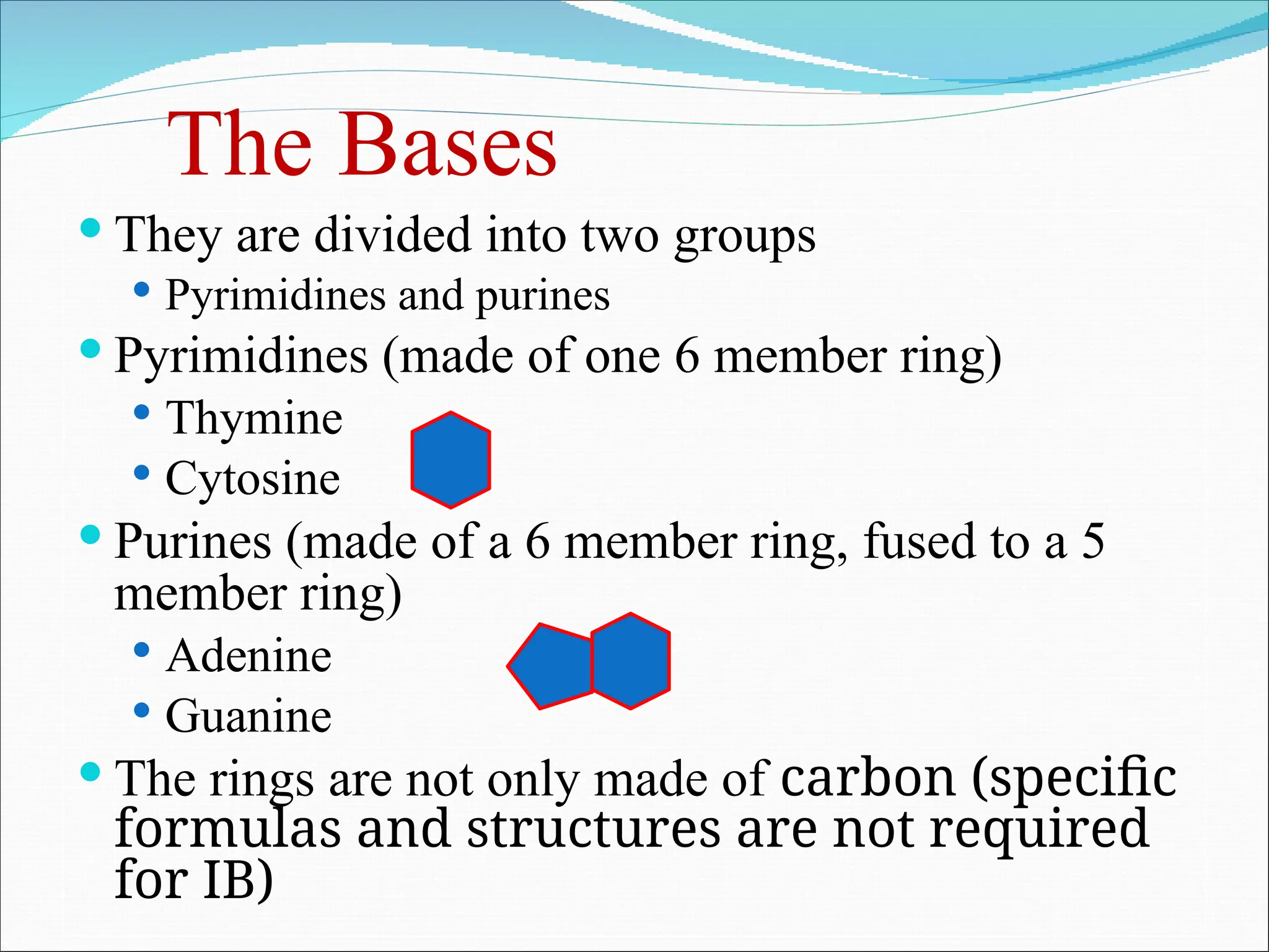 The Bases
 They are divided into two groups
 Pyrimidines and purines
 Pyrimidines (made of one 6 member ring)
 Thymine
 Cytosine
 Purines (made of a 6 member ring, fused to a 5
member ring)
 Adenine
 Guanine
 The rings are not only made of carbon (specific
formulas and structures are not required
for IB)
 