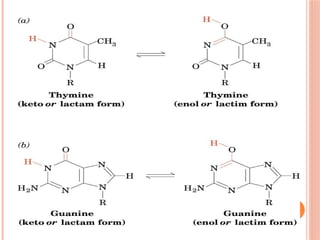 DNA Structure and its various components | PPTX | Chemistry | Science