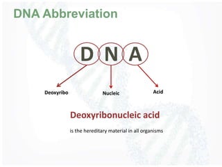 DNA Abbreviation
D N A
Deoxyribo Nucleic Acid
Deoxyribonucleic acid
is the hereditary material in all organisms
 