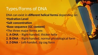 DNA structure-Lecture-2 nucleicacid.pptx