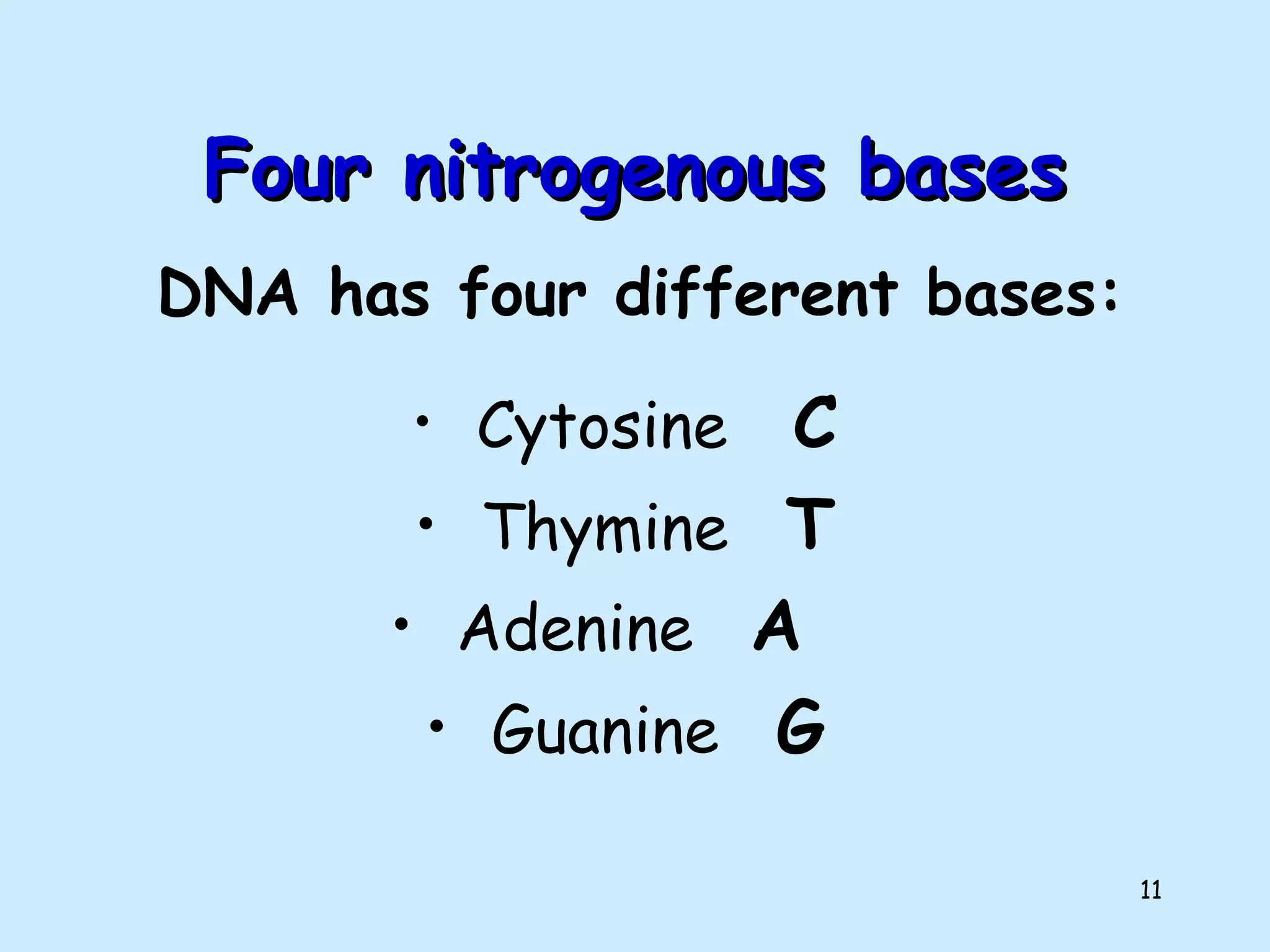 11
Four nitrogenous basesFour nitrogenous bases
• Cytosine C
• Thymine T
• Adenine A
• Guanine G
DNA has four different bases:
 