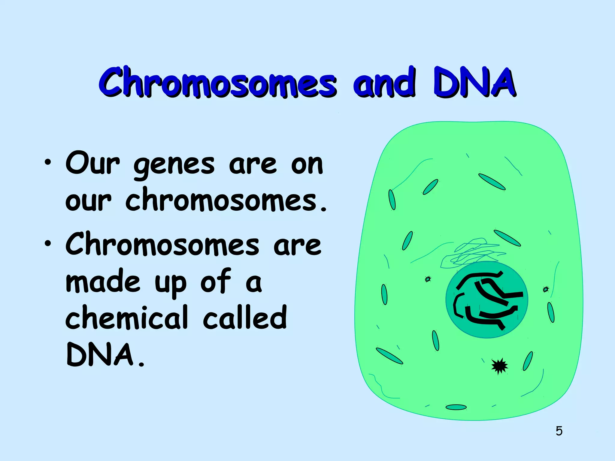 5
Chromosomes and DNAChromosomes and DNA
• Our genes are on
our chromosomes.
• Chromosomes are
made up of a
chemical called
DNA.
 