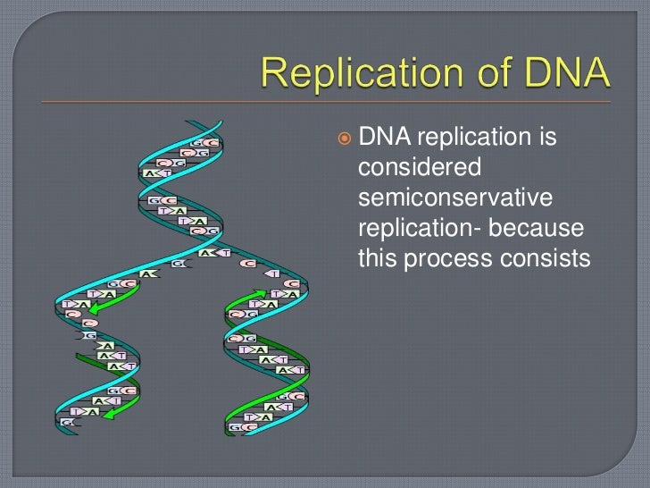 Dna structure 12.1 and 12.2 students