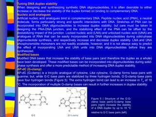 Tuning DNA duplex stability
When designing and synthesizing synthetic DNA oligonucleotides, it is often desirable to either
increase or decrease the stability of the duplex formed on binding to complementary DNA.
Nucleic acid analogues
Artificial nucleic acid analogues bind to complementary DNA. Peptide nucleic acid (PNA), a neutral
molecule, forms particularly strong and specific interactions with DNA. Stretches of PNA can be
incorporated into DNA oligonucleotides to increase duplex stability; but care must be taken in
designing the PNA-DNA junction, and the stabilizing effect of the PNA can be offset by the
destabilizing impact of the junction. Locked nucleic acid (LNA) and unlocked nucleic acid (UNA) are
analogues of RNA that can be easily incorporated into DNA oligonucleotides during solid-phase
oligonucleotide synthesis, and respectively increase and decrease duplex stability. LNA and UNA
phosphoramidite monomers are not readily available, however, and it is not always easy to predict
the effect of incorporating LNA and UNA units into DNA oligonucleotides before they are
synthesized.
Modified bases
Modified DNA bases that increase the stability of base pairs (and therefore the duplex as a whole)
have been developed. These modified bases can be incorporated into oligonucleotides during solid-
phase synthesis and offer a more predictable method of increasing DNA duplex stability.
AP-dC (G-clamp)
AP-dC (G-clamp) is a tricyclic analogue of cytosine. Like cytosine, G-clamp forms base pairs with
guanine; but, while G·C base pairs are stabilized by three hydrogen bonds, G·G-clamp base pairs
have four hydrogen bonds (Figure 5). The extra hydrogen bond can lead to an increase in Tm
of 18
°C. The incorporation of multiple G-clamp bases can result in further increases in duplex stability.
Figure 5 | Structure of the G·G-
clamp base pairG·G-clamp base
pairs (right) increase the stability
of a DNA duplex by up to 18 °C
relative to G·C base pairs (left).
 