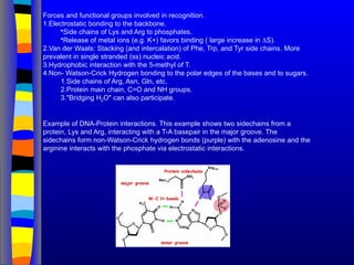 Forces and functional groups involved in recognition.
1.Electrostatic bonding to the backbone.
•Side chains of Lys and Arg to phosphates.
•Release of metal ions (e.g. K+) favors binding ( large increase in ∆S).
2.Van der Waals: Stacking (and intercalation) of Phe, Trp, and Tyr side chains. More
prevalent in single stranded (ss) nucleic acid.
3.Hydrophobic interaction with the 5-methyl of T.
4.Non- Watson-Crick Hydrogen bonding to the polar edges of the bases and to sugars.
1.Side chains of Arg, Asn, Gln, etc.
2.Protein main chain, C=O and NH groups.
3."Bridging H2O" can also participate.
Example of DNA-Protein interactions. This example shows two sidechains from a
protein, Lys and Arg, interacting with a T-A basepair in the major groove. The
sidechains form non-Watson-Crick hydrogen bonds (purple) with the adenosine and the
arginine interacts with the phosphate via electrostatic interactions.
 