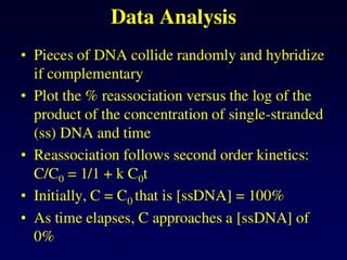 DNA_structure_2025_Curso de Ácidos Nucleicos