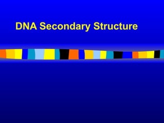 DNA Secondary Structure
 