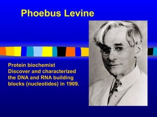 Phoebus Levine
Protein biochemist
Discover and characterized
the DNA and RNA building
blocks (nucleotides) in 1909.
 
