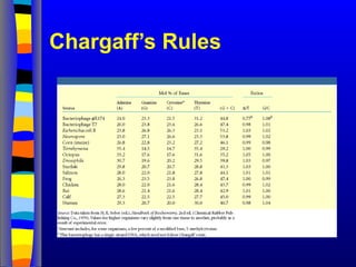 Chargaff’s Rules
 