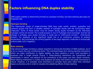 Factors influencing DNA duplex stability
DNA duplex stability is determined primarily by hydrogen bonding, but base stacking also plays an
important role.
Hydrogen bonding
The heterocyclic bases of single-stranded DNA have polar amido, amidino, guanidino and
carbonyl groups that form a complex network of hydrogen bonds with the surrounding water
molecules. Some of these bonds must be broken during duplex formation as the inter-base
hydrogen bonds are formed. The overall process is one of "hydrogen bond exchange" and the net
change in enthalpy upon duplex formation is partly due to ∆H(H-bonds formed) − ∆H(H-bonds
broken). For duplexes of any significant length this is an exothermic process at ambient
temperature. Not surprisingly the coming together of two large oligomeric molecules is entropically
unfavourable (∆S is negative).
Base stacking
Inter-strand hydrogen bonding is clearly important in driving the formation of DNA duplexes, but it
is by no means the only contributing factor. The individual bases form strong stacking interactions
which are major contributors to duplex stability, as base stacking is much more prevalent in
duplexes than in single strands (Figure 1). Base-stacking interactions are hydrophobic and
electrostatic in nature, and depend on the aromaticity of the bases and their dipole moments.
Base-stacking interactions in nucleic acid duplexes are partly inter-strand and partly intra-strand in
nature. However, it is probably more informative to consider base pairs rather than individual
bases as discrete units in order to visualize the stabilising effects of base stacking.
 